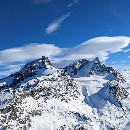 Zermattmountainchalet Tambiel アパート ツェルマット